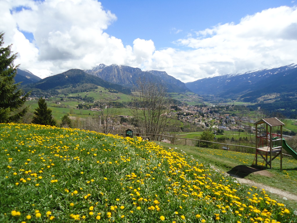 DOLOMITI MULTIPROPRIETA